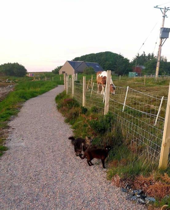 Isla's * Stornoway (Isle of Lewis)